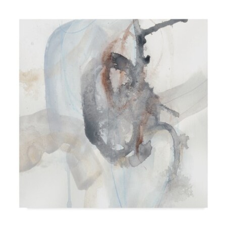 Trademark Fine Art June Erica Vess 'Supposition Iv' Canvas Art, 24x24 WAG06932-C2424GG